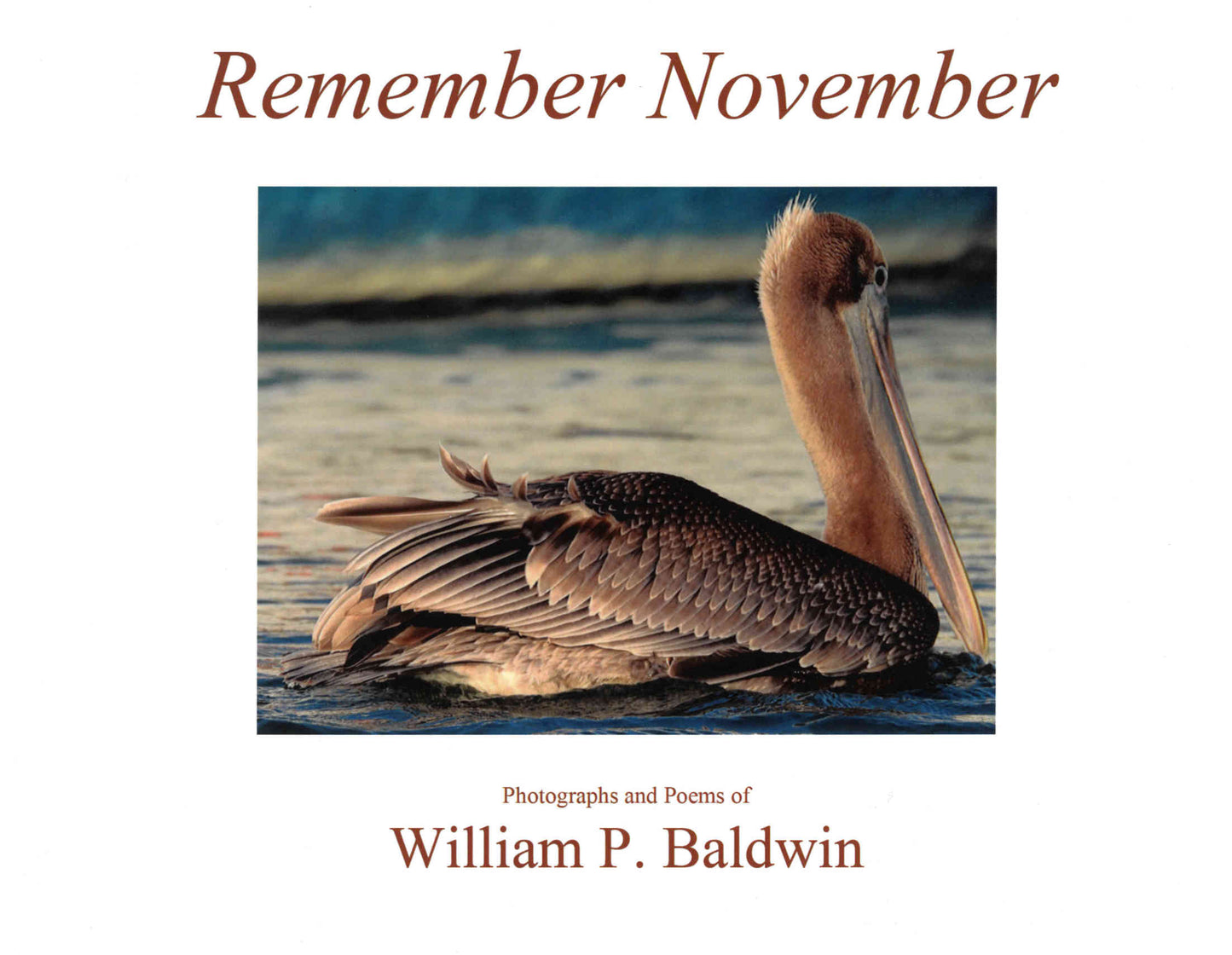 Remember November ~ William P. Baldwin, III