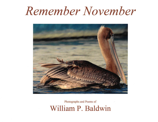 Remember November ~ William P. Baldwin, III