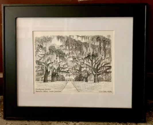 Original Framed Pen & Ink Drawing ~ Brookgreen Gardens, "Live Oaks Allee"