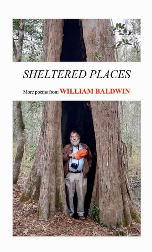 Sheltered Places ~ William P. Baldwin, III