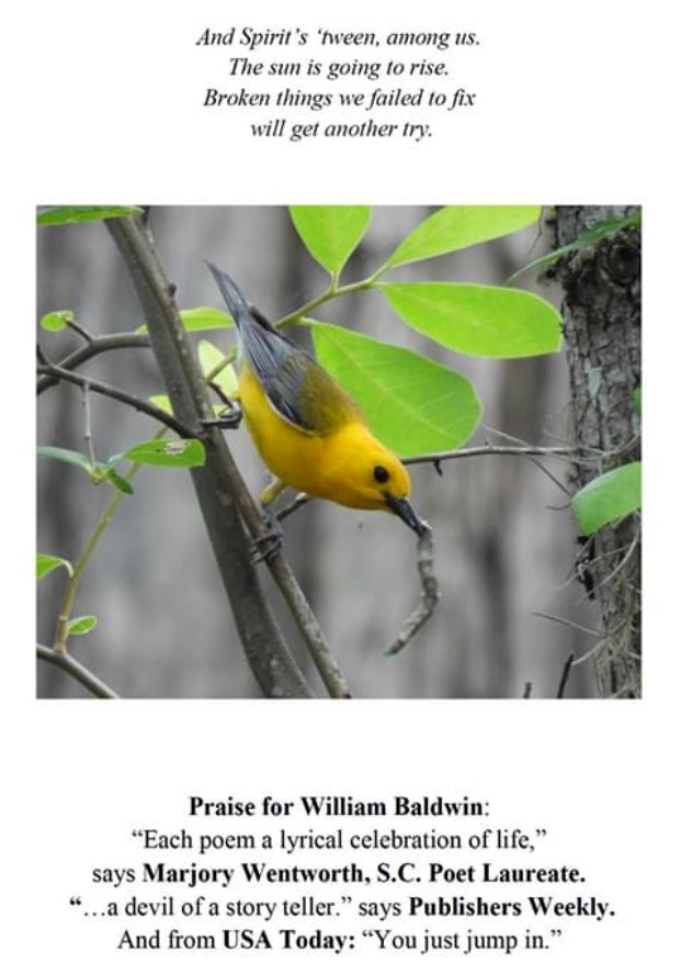 Sheltered Places ~ William P. Baldwin