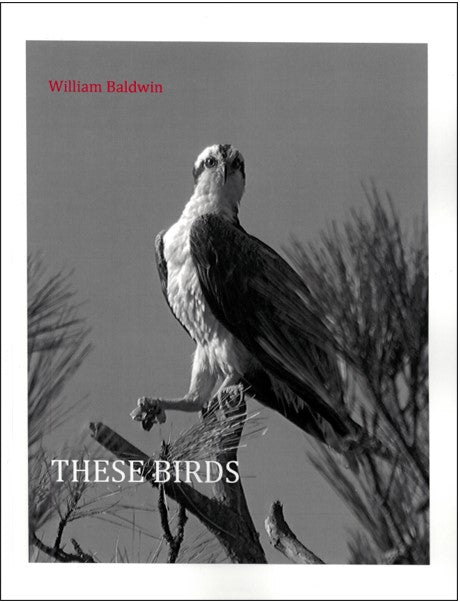 These Birds ~ William Baldwin