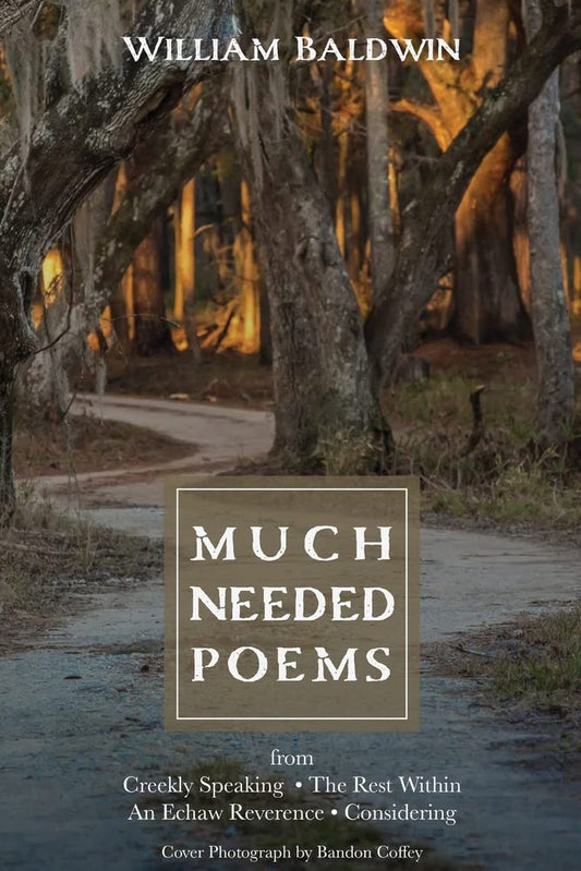 Much Needed Poems ~ William Baldwin