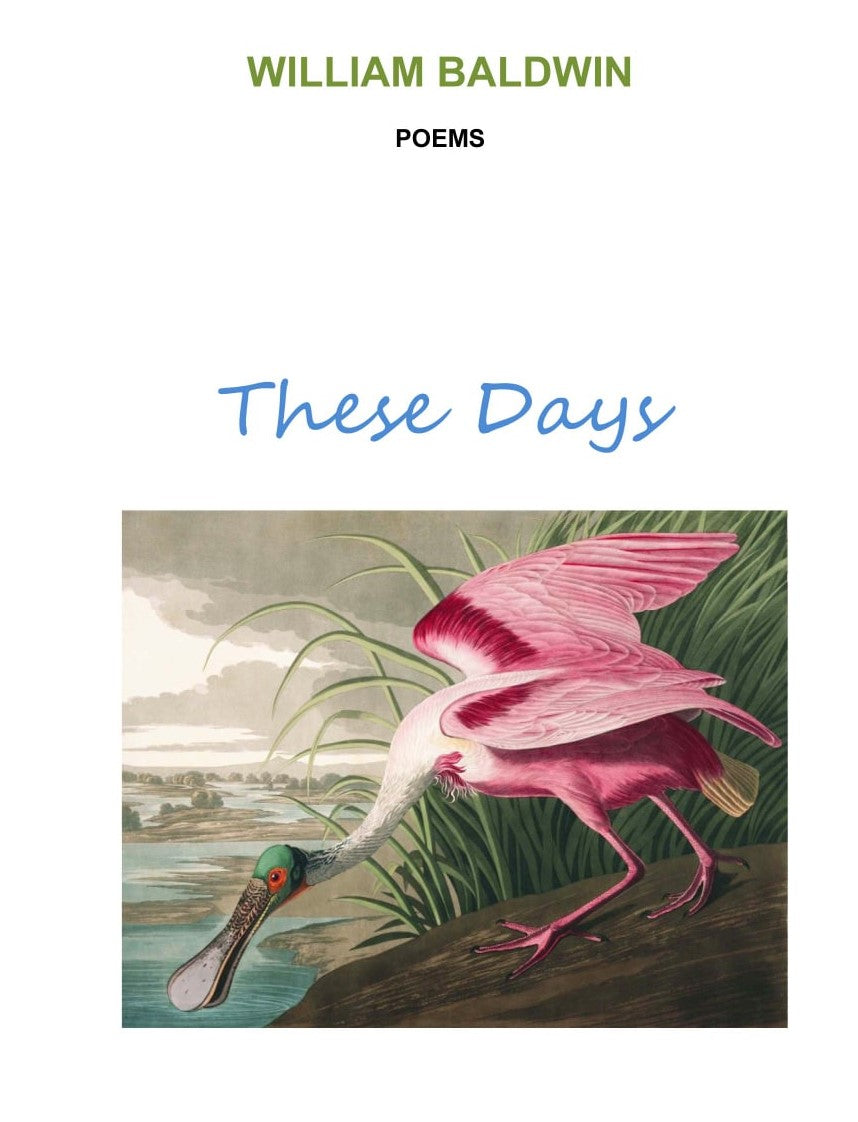 These Days ~ Poems by William P. Baldwin, III