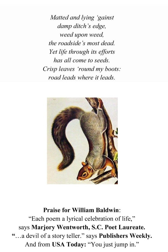 These Days ~ Poems by William Baldwin